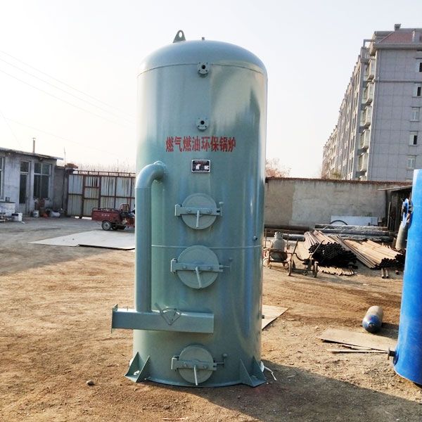 立式燃?xì)忮仩t