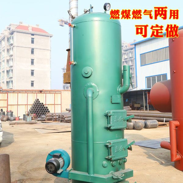 立式燃?xì)忮仩t