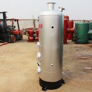 立式常壓熱水環(huán)保鍋爐