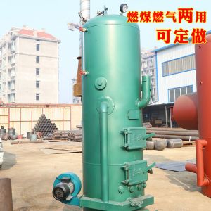 立式燃?xì)忮仩t